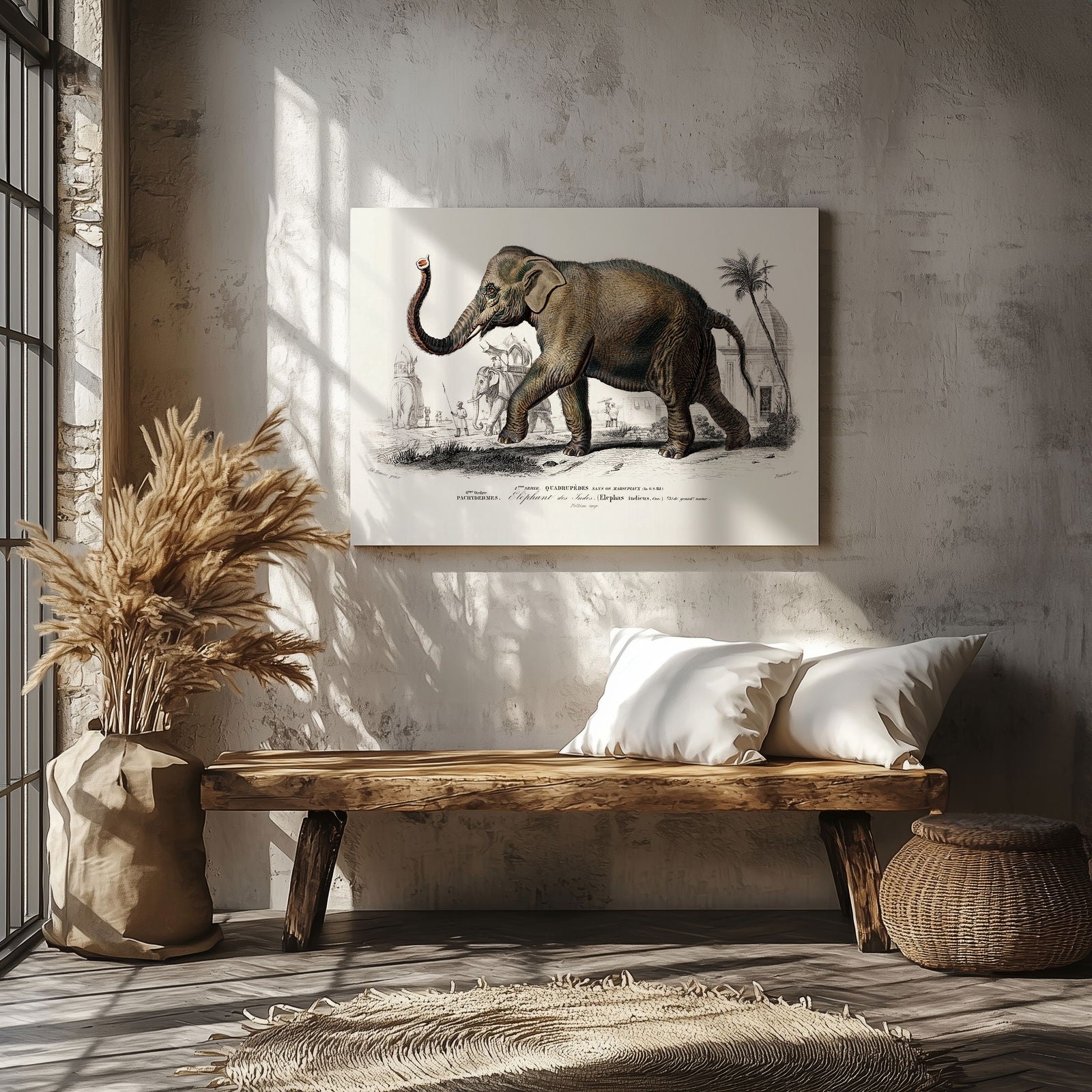 Asiatic Elephant (Elephas Maximus) - Charles Dessalines D'Orbigny - Framed Canvas Wall Art Print | House Prints