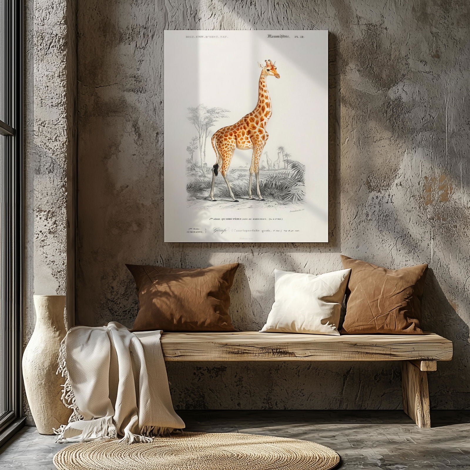 Giraffe (Giraffa Camelopardalis) - Charles Dessalines D'Orbigny - Framed Canvas Wall Art Print | House Prints
