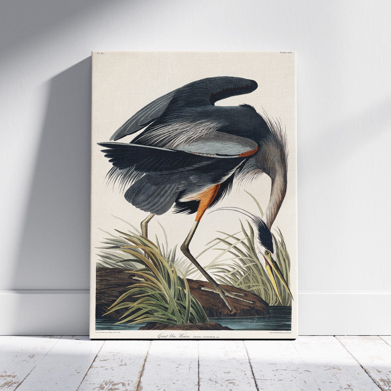Great Blue Heron Of America - John James Audubon - Framed Canvas Wall Art Print | House Prints