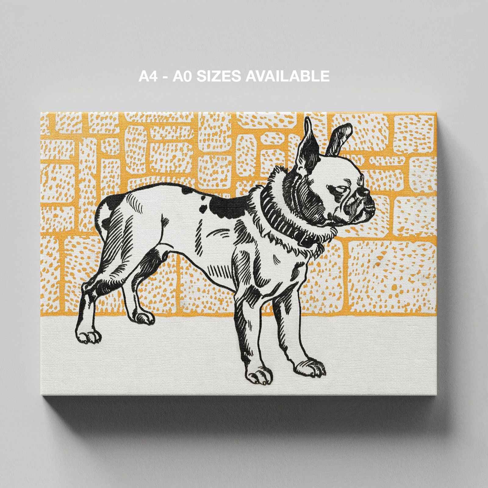 Pitbull Terrier - Moriz Jung - Framed Canvas Wall Art Print | House Prints