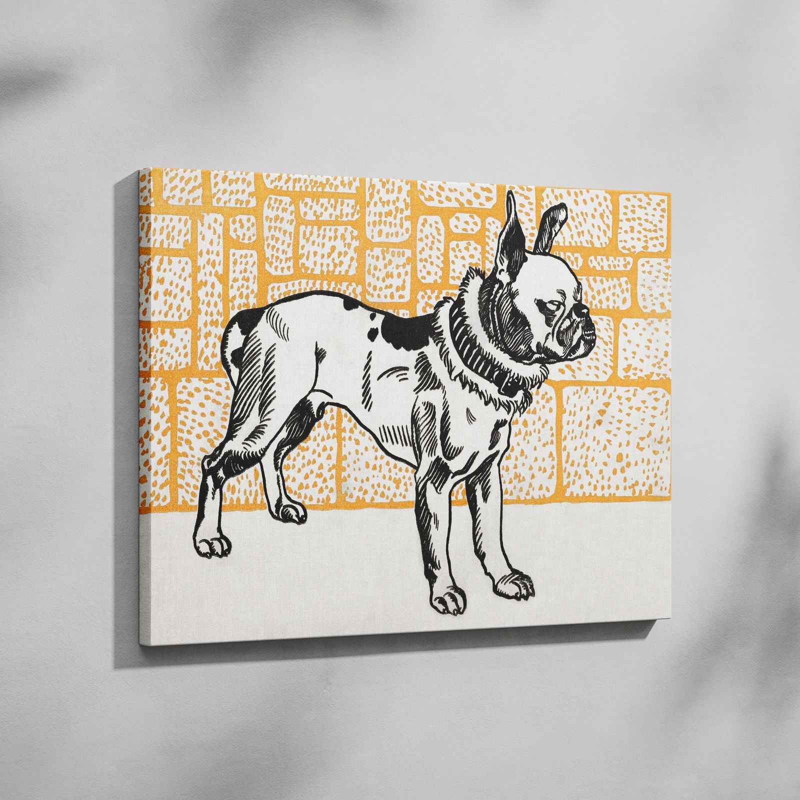 Pitbull Terrier - Moriz Jung - Framed Canvas Wall Art Print | House Prints