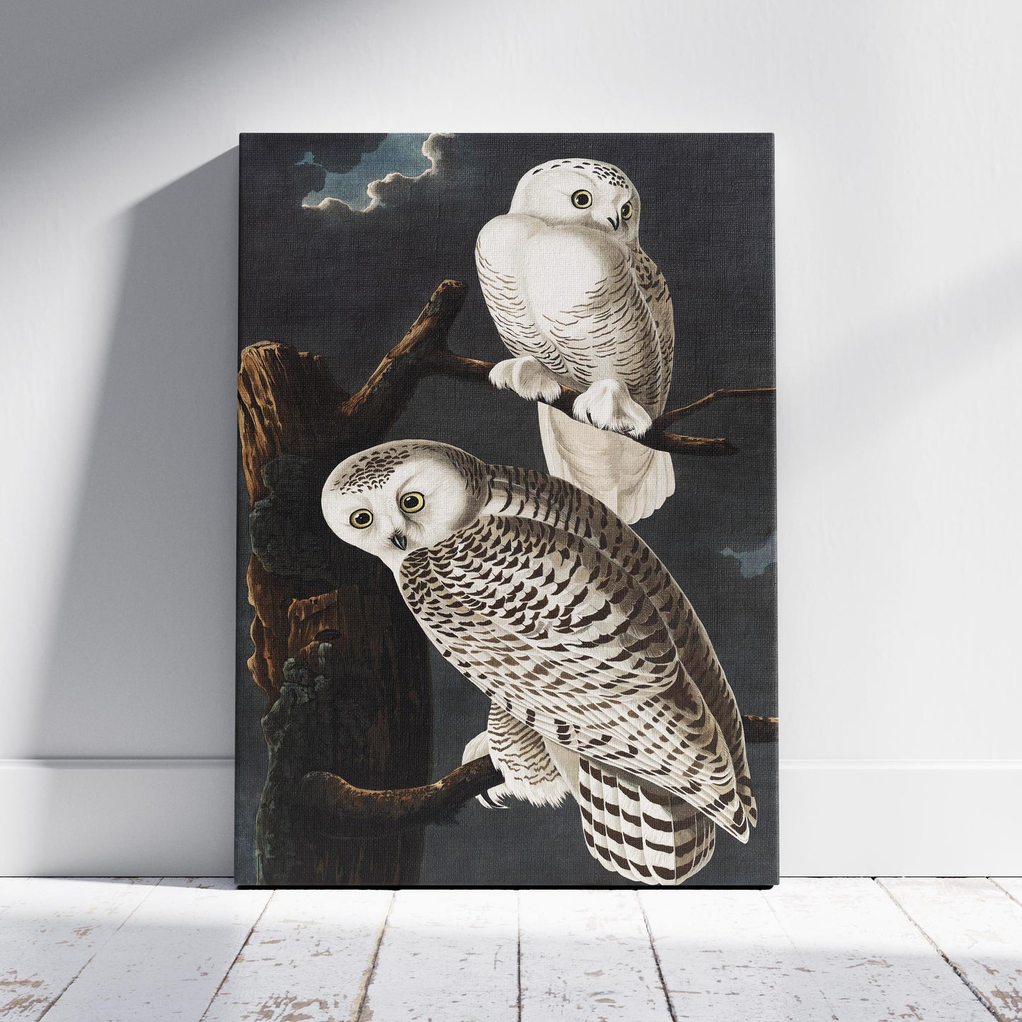 Snowy Owl from Birds of America - John James Audubon - Framed Canvas Wall Art Print - House Prints