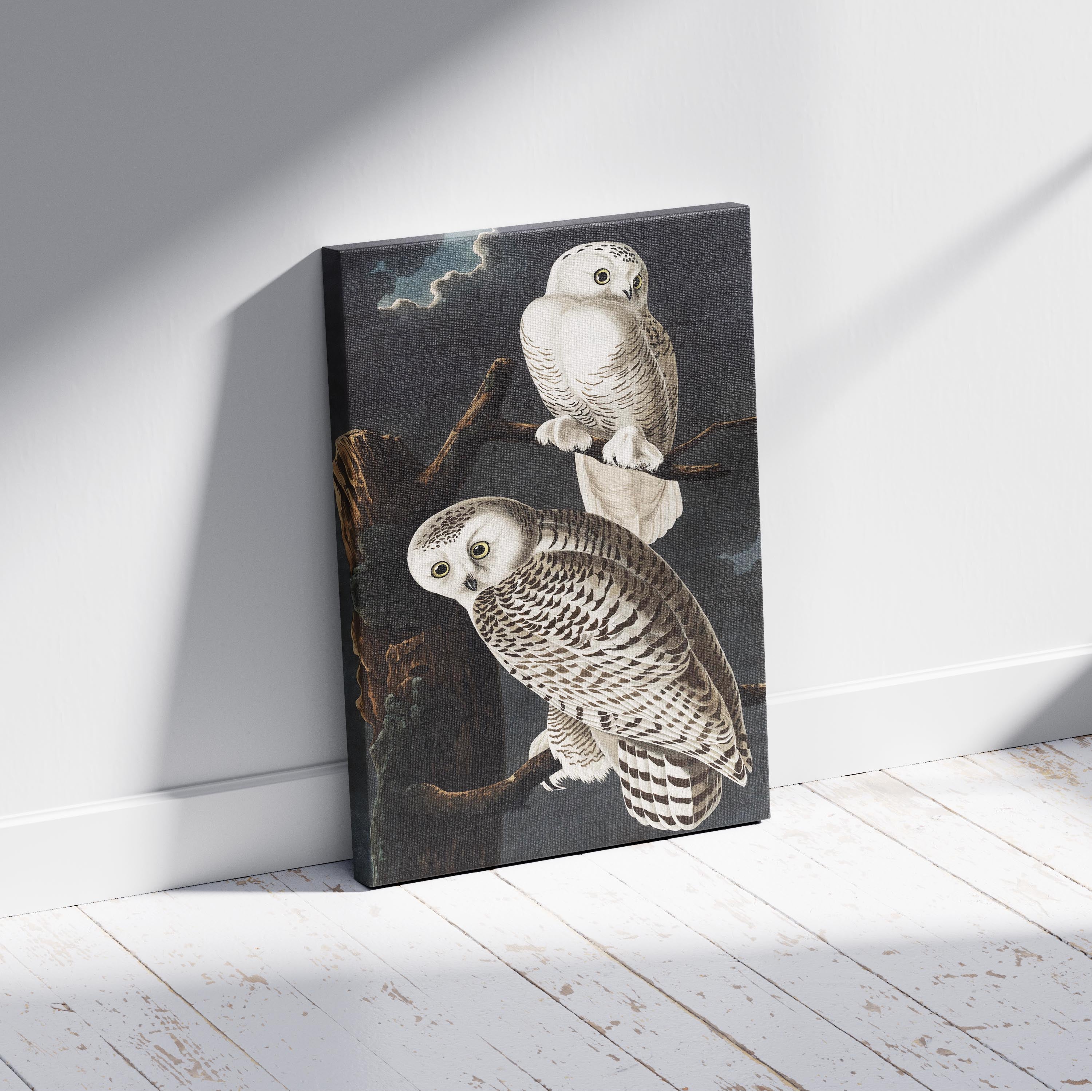 Snowy Owl from Birds of America - John James Audubon - Framed Canvas Wall Art Print | House Prints