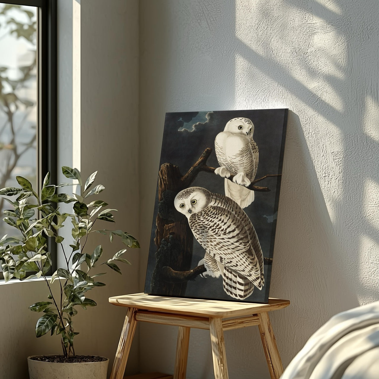 Snowy Owl from Birds of America - John James Audubon - Framed Canvas Wall Art Print - House Prints