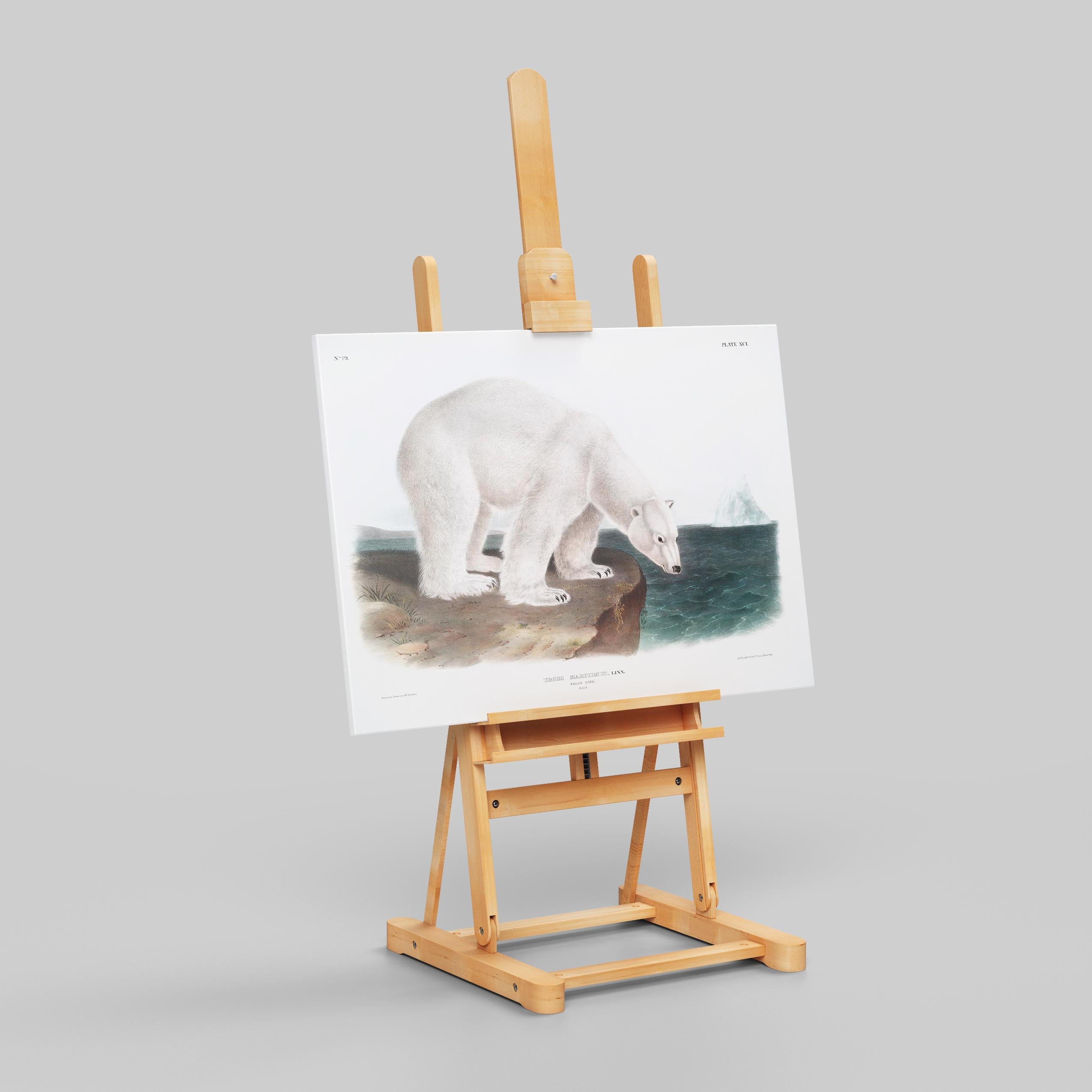 Polar Bear - John James Audubon - Framed Canvas Wall Art Print | House Prints