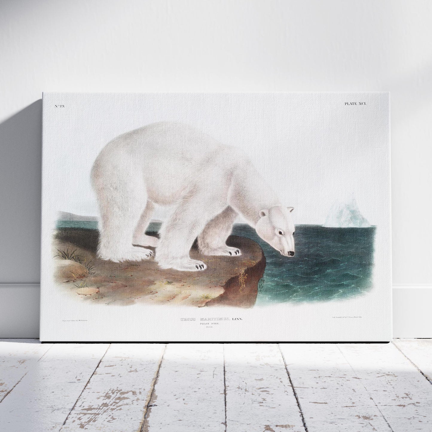 Polar Bear - John James Audubon - Framed Canvas Wall Art Print - House Prints