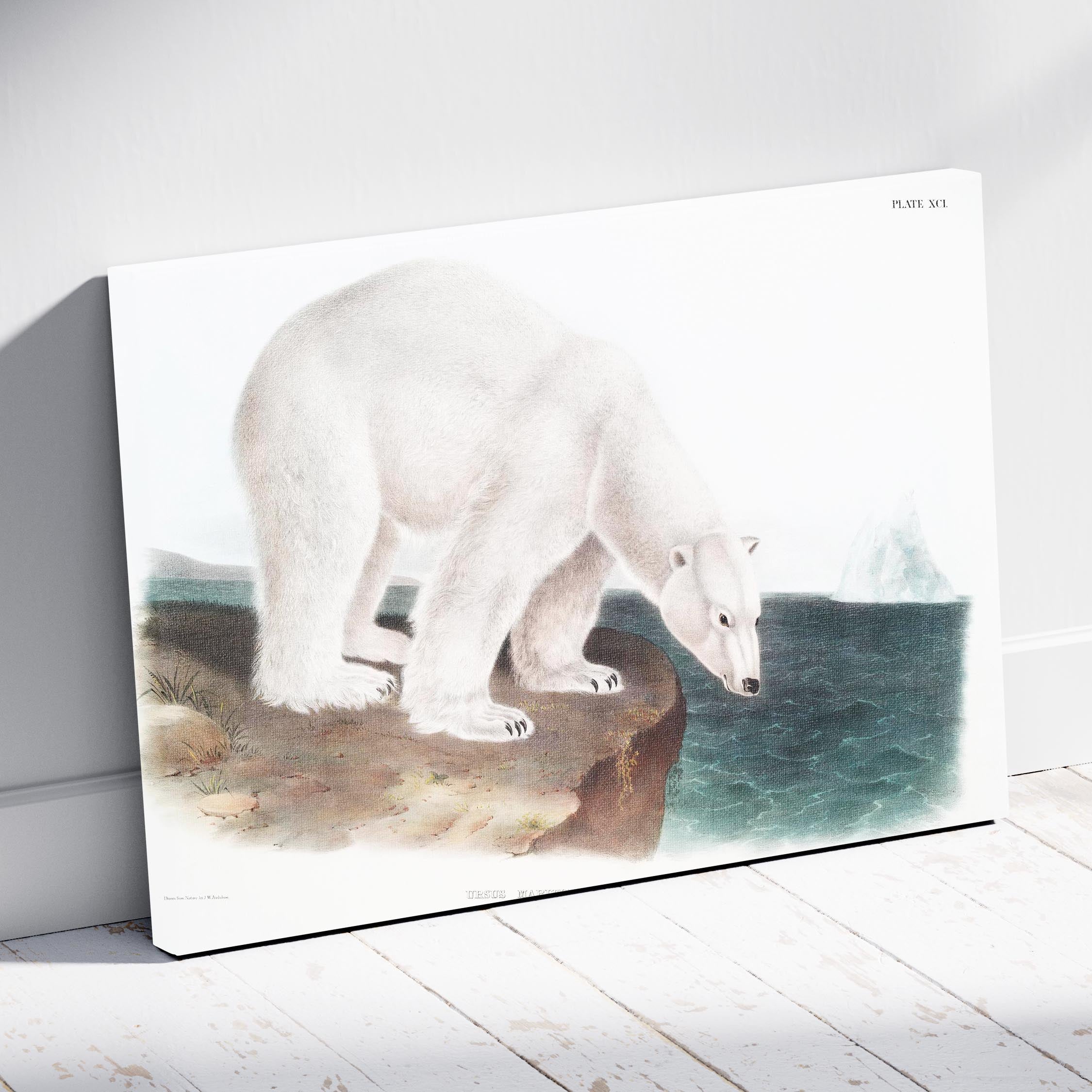 Polar Bear - John James Audubon - Framed Canvas Wall Art Print | House Prints