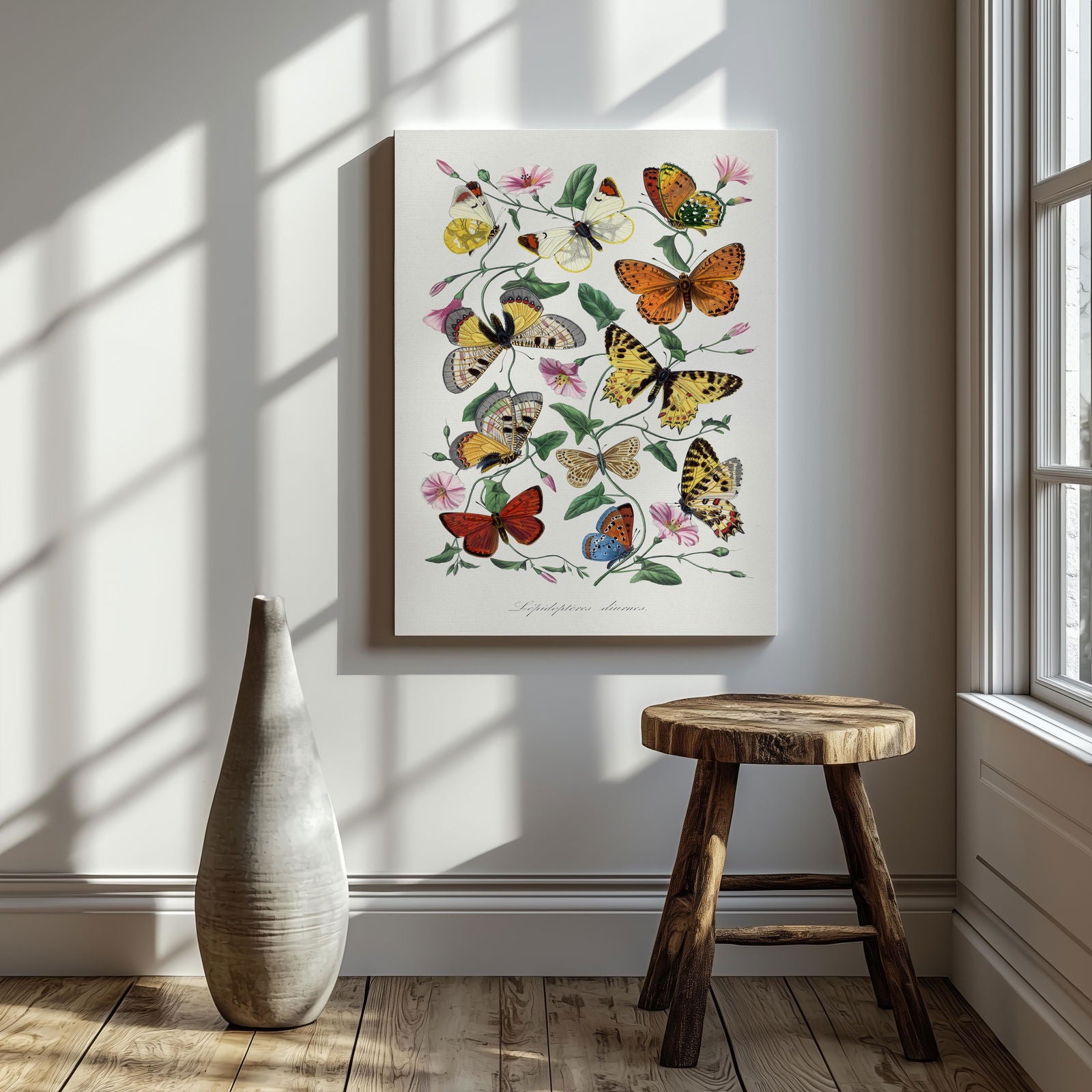 Butterfly and Moth - Paul Gervais - Framed Canvas Wall Art Print - House Prints