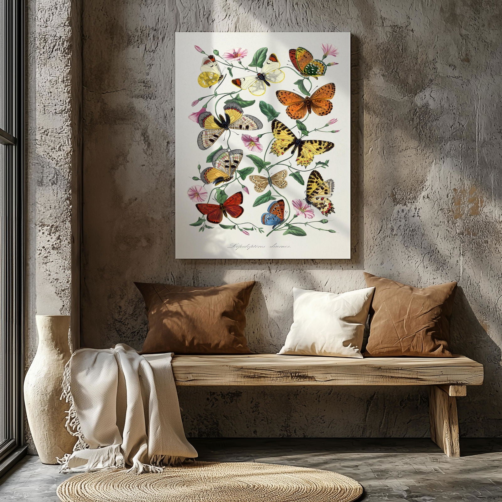 Butterfly and Moth - Paul Gervais - Framed Canvas Wall Art Print - House Prints