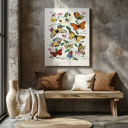 Butterfly and Moth - Paul Gervais - Framed Canvas Wall Art Print - House Prints