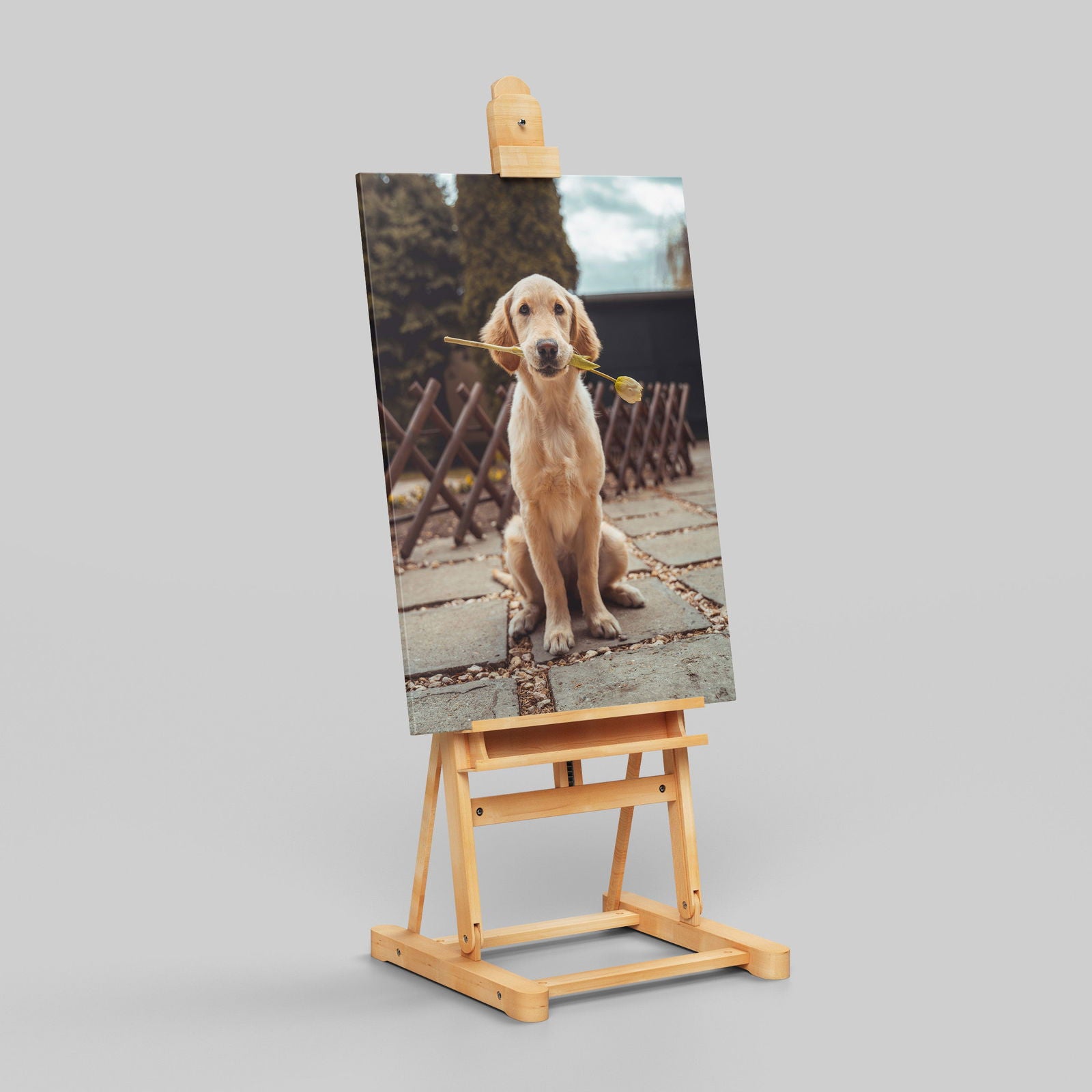 Custom Choose Your Own Personalised Photo - Framed Canvas Wall Art Print - House Prints