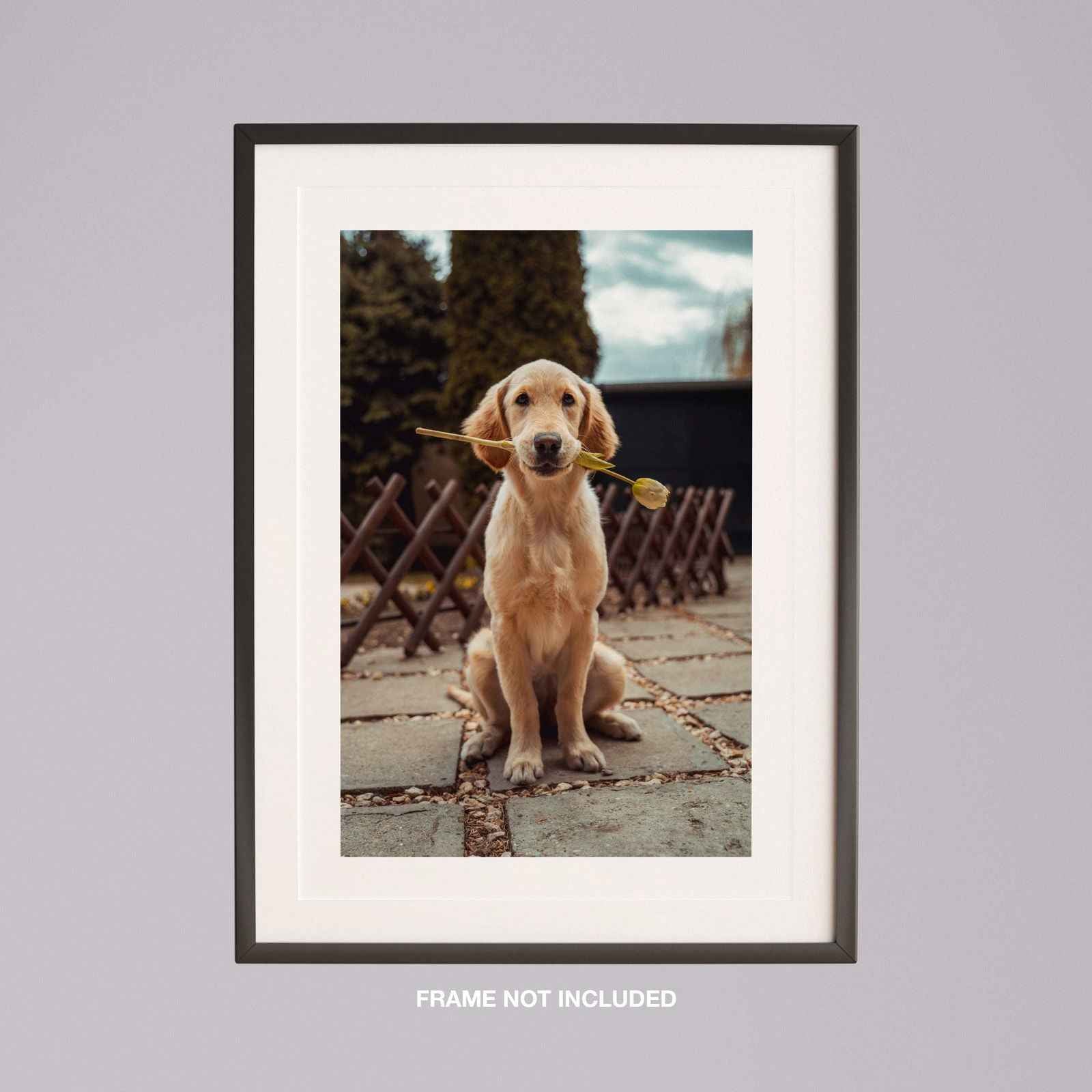 Custom Choose Your Own Personalised Photo - Rolled Poster Wall Art Print - House Prints
