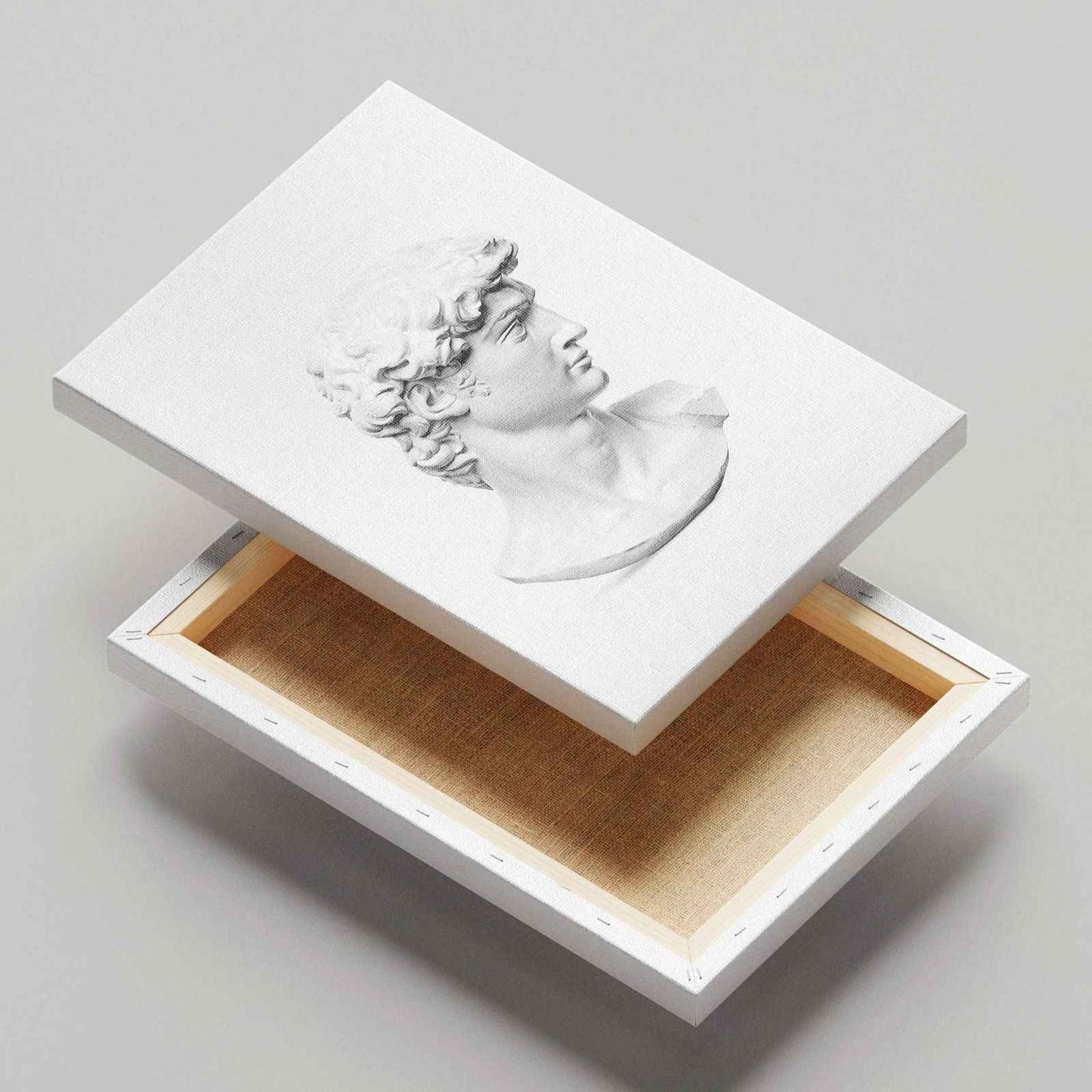David Statue Head - Michelangelo Buonarroti - Framed Canvas Wall Art Print - House Prints