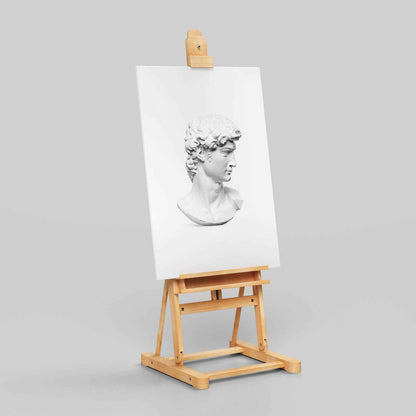 David Statue Head - Michelangelo Buonarroti - Framed Canvas Wall Art Print - House Prints