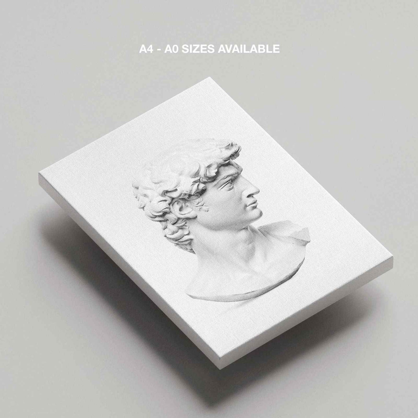 David Statue Head - Michelangelo Buonarroti - Framed Canvas Wall Art Print - House Prints