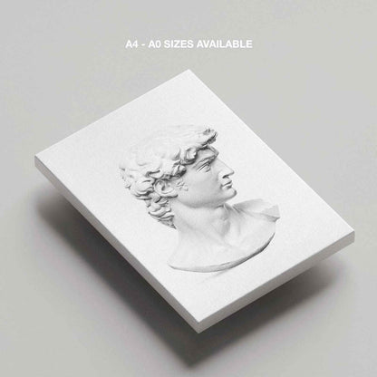 David Statue Head - Michelangelo Buonarroti - Framed Canvas Wall Art Print - House Prints