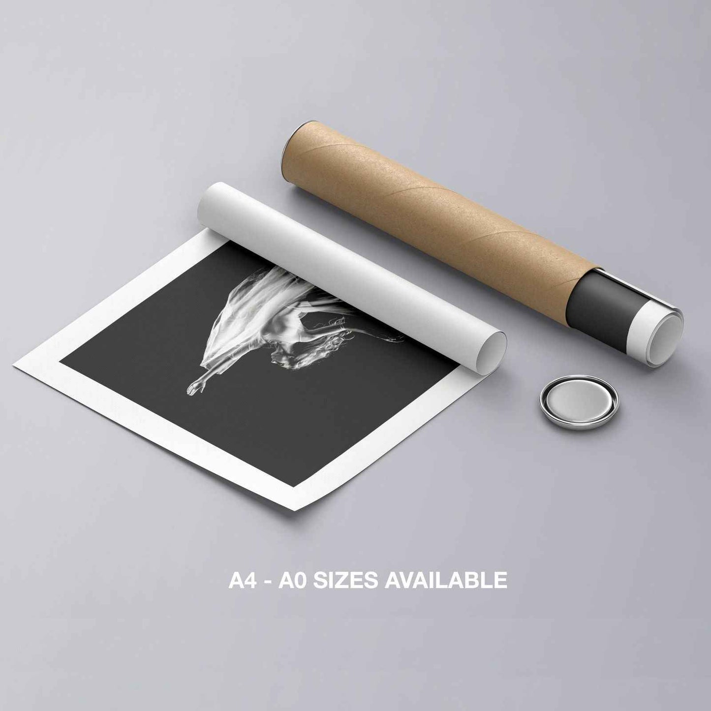 Elegant Black & White Ballet Dancer - Rolled Poster Wall Art Print - House Prints