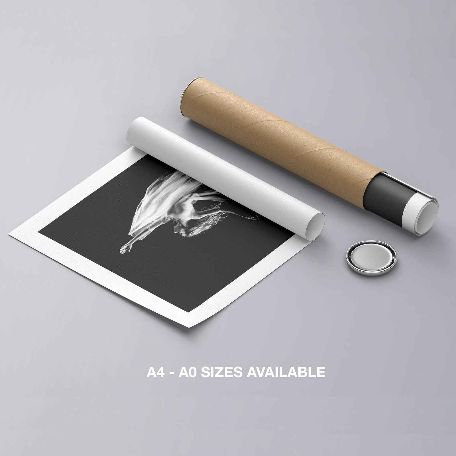 Elegant Black & White Ballet Dancer - Rolled Poster Wall Art Print - House Prints
