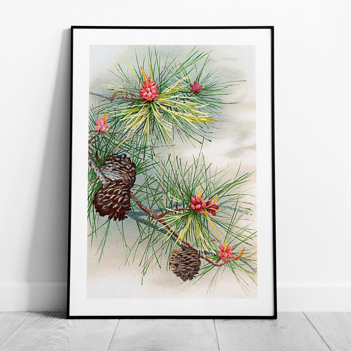 Festive Christmas Holly Leaf Illustration - Rolled Poster Wall Art Print | House Prints