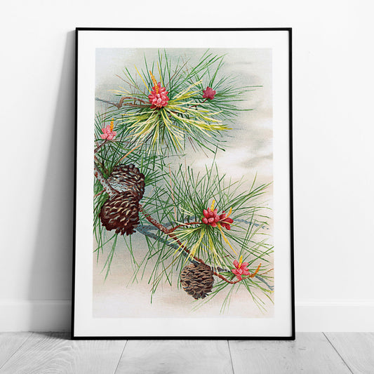 Festive Christmas Holly Leaf Illustration - Rolled Poster Wall Art Print - House Prints