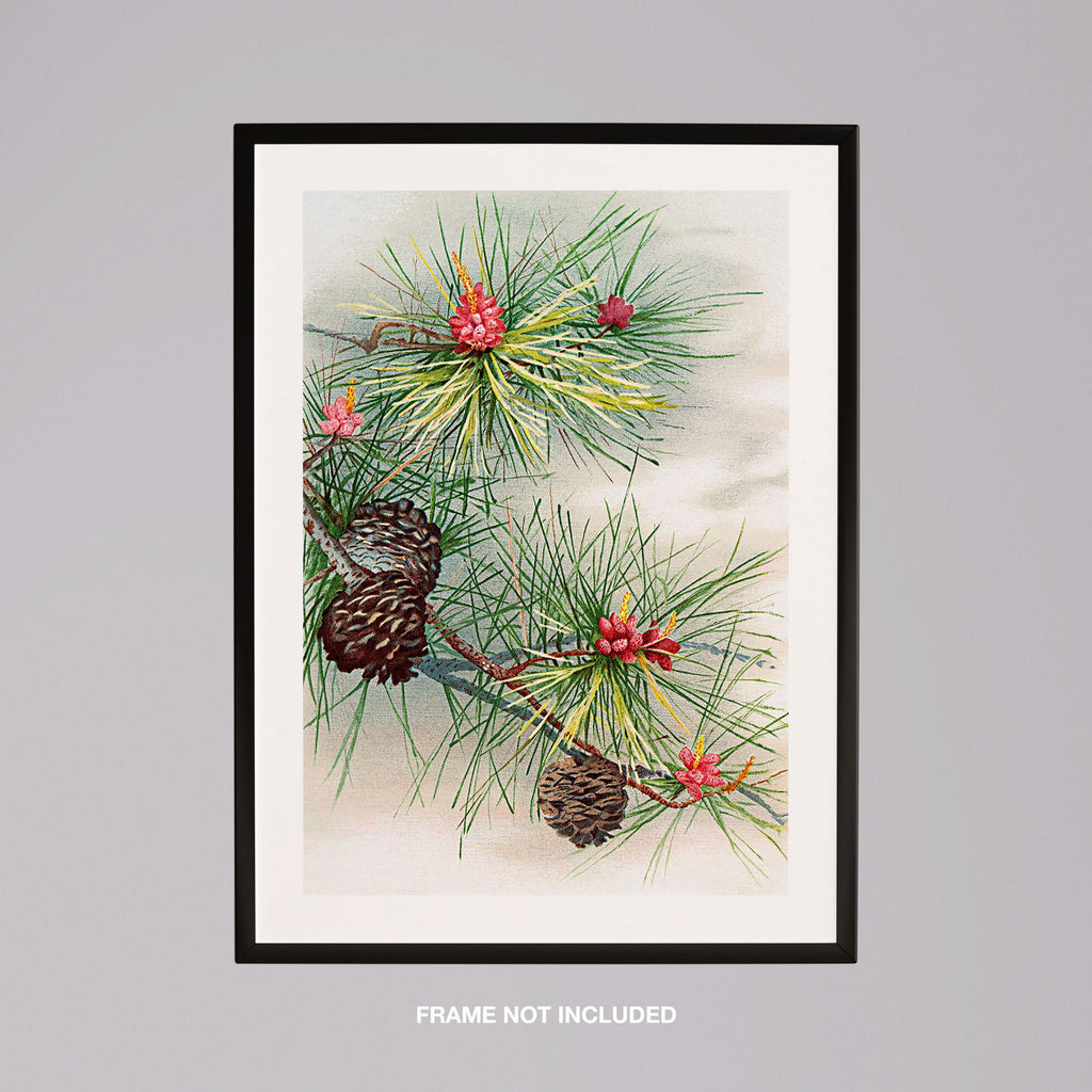 Festive Christmas Holly Leaf Illustration - Rolled Poster Wall Art Print | House Prints