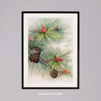 Festive Christmas Holly Leaf Illustration - Rolled Poster Wall Art Print | House Prints