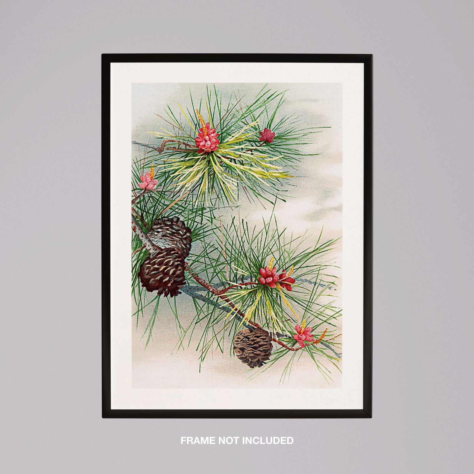 Festive Christmas Holly Leaf Illustration - Rolled Poster Wall Art Print | House Prints