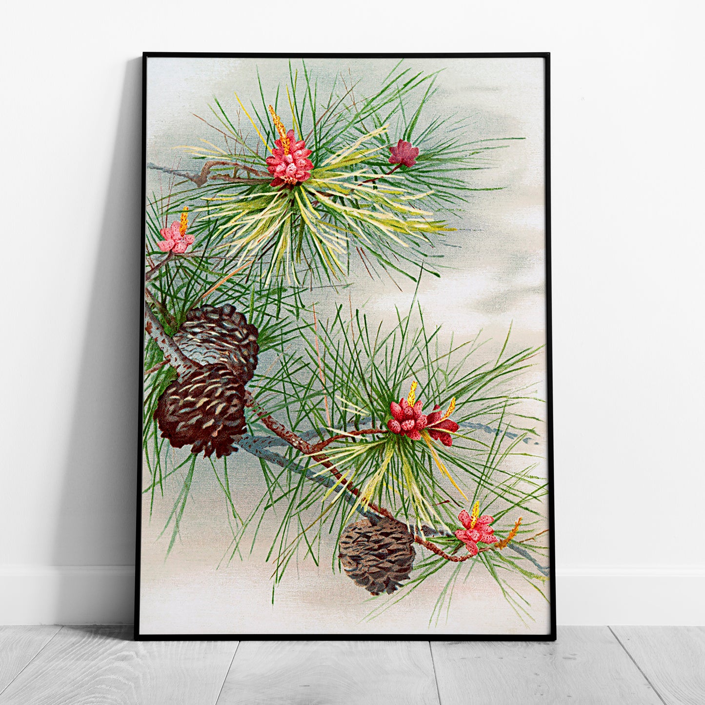 Festive Christmas Holly Leaf Illustration - Rolled Poster Wall Art Print - House Prints