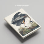 Great Blue Heron Of America - John James Audubon - Framed Canvas Wall Art Print | House Prints