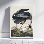Great Blue Heron Of America - John James Audubon - Framed Canvas Wall Art Print | House Prints