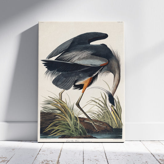 Great Blue Heron Of America - John James Audubon - Framed Canvas Wall Art Print - House Prints