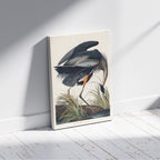 Great Blue Heron Of America - John James Audubon - Framed Canvas Wall Art Print | House Prints