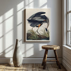 Great Blue Heron Of America - John James Audubon - Framed Canvas Wall Art Print | House Prints
