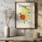Citrus Lemon Botanical Family Kitchen - Rolled Poster Wall Art Print | House Prints