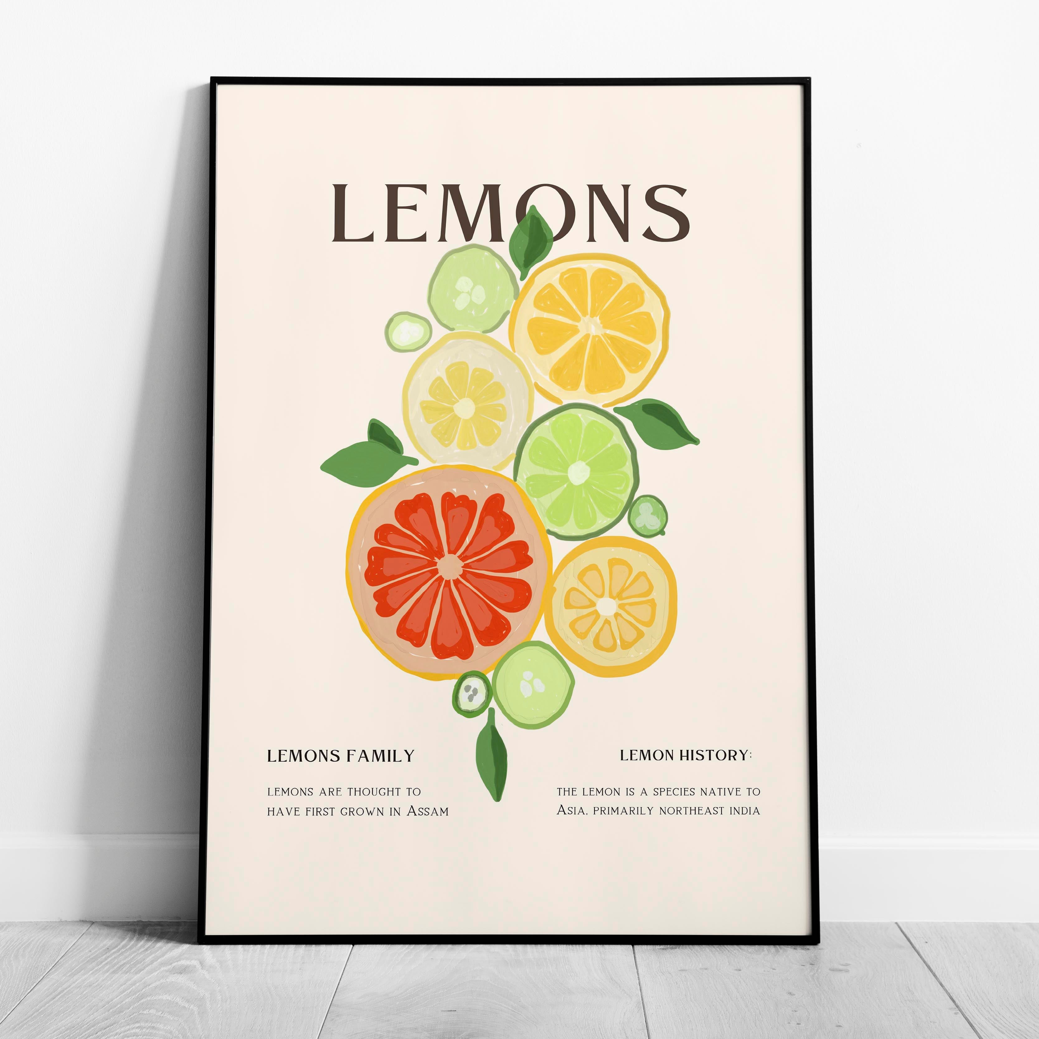 Citrus Lemon Botanical History Kitchen - Rolled Poster Wall Art Print | House Prints