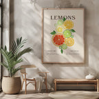 Citrus Lemon Botanical Family Kitchen - Rolled Poster Wall Art Print | House Prints