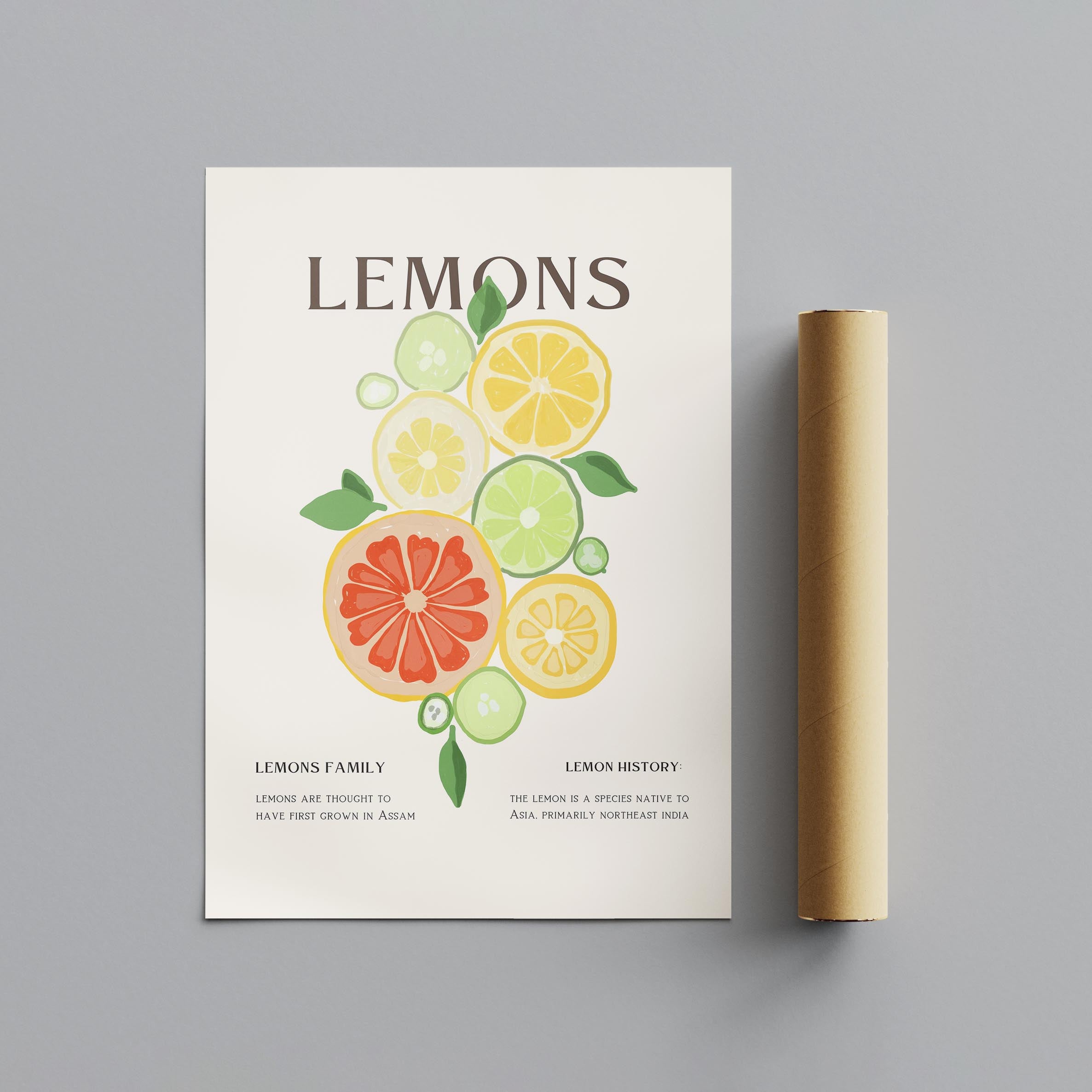 Citrus Lemon Botanical History Kitchen - Rolled Poster Wall Art Print | House Prints