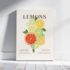 Citrus Lemon Botanical Family Kitchen - Framed Canvas Wall Art Print | House Prints