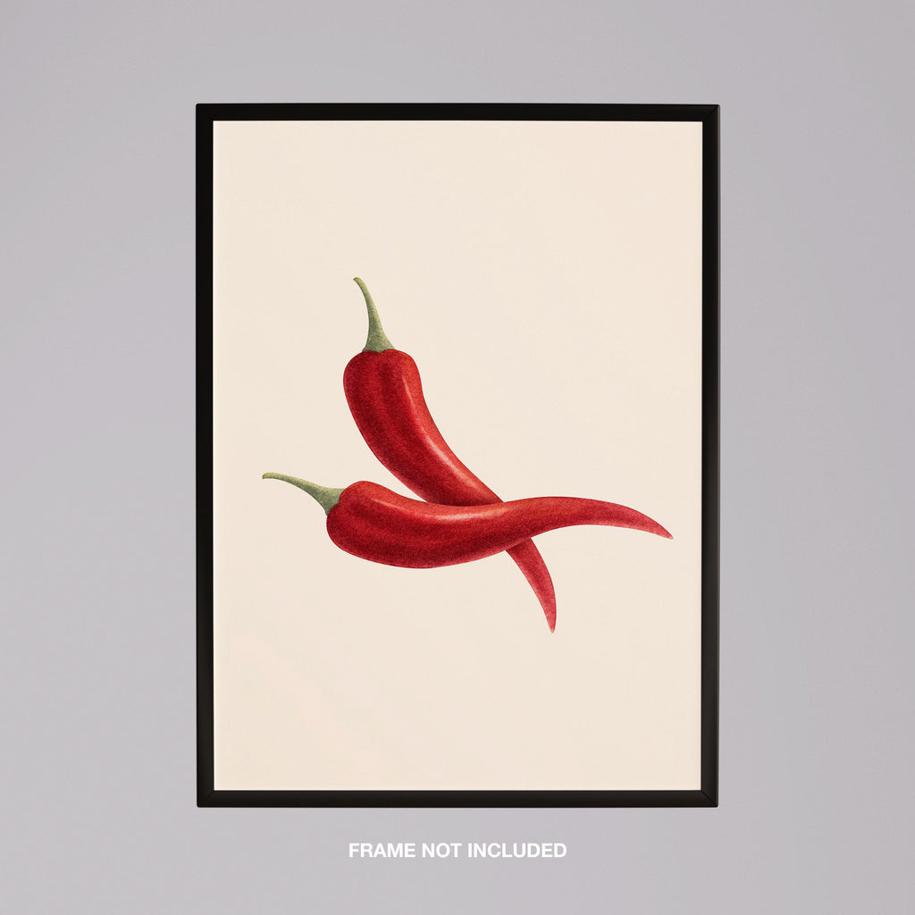 Hot Red Chilli Food in the Kitchen - Rolled Poster Wall Art Print | House Prints