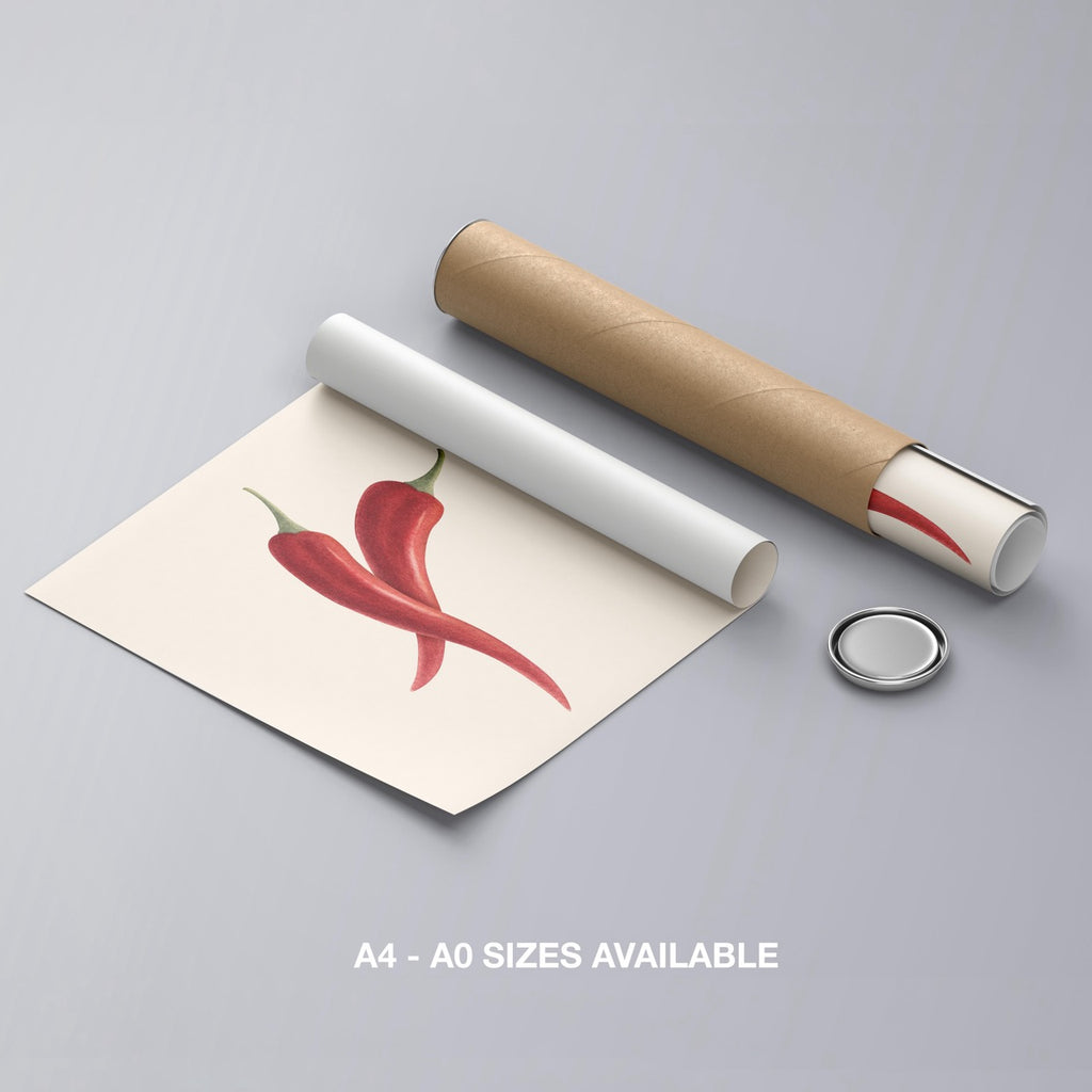 Hot Red Chilli Food in the Kitchen - Rolled Poster Wall Art Print | House Prints