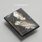 Snowy Owl from Birds of America - John James Audubon - Framed Canvas Wall Art Print | House Prints