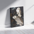 Snowy Owl from Birds of America - John James Audubon - Framed Canvas Wall Art Print | House Prints