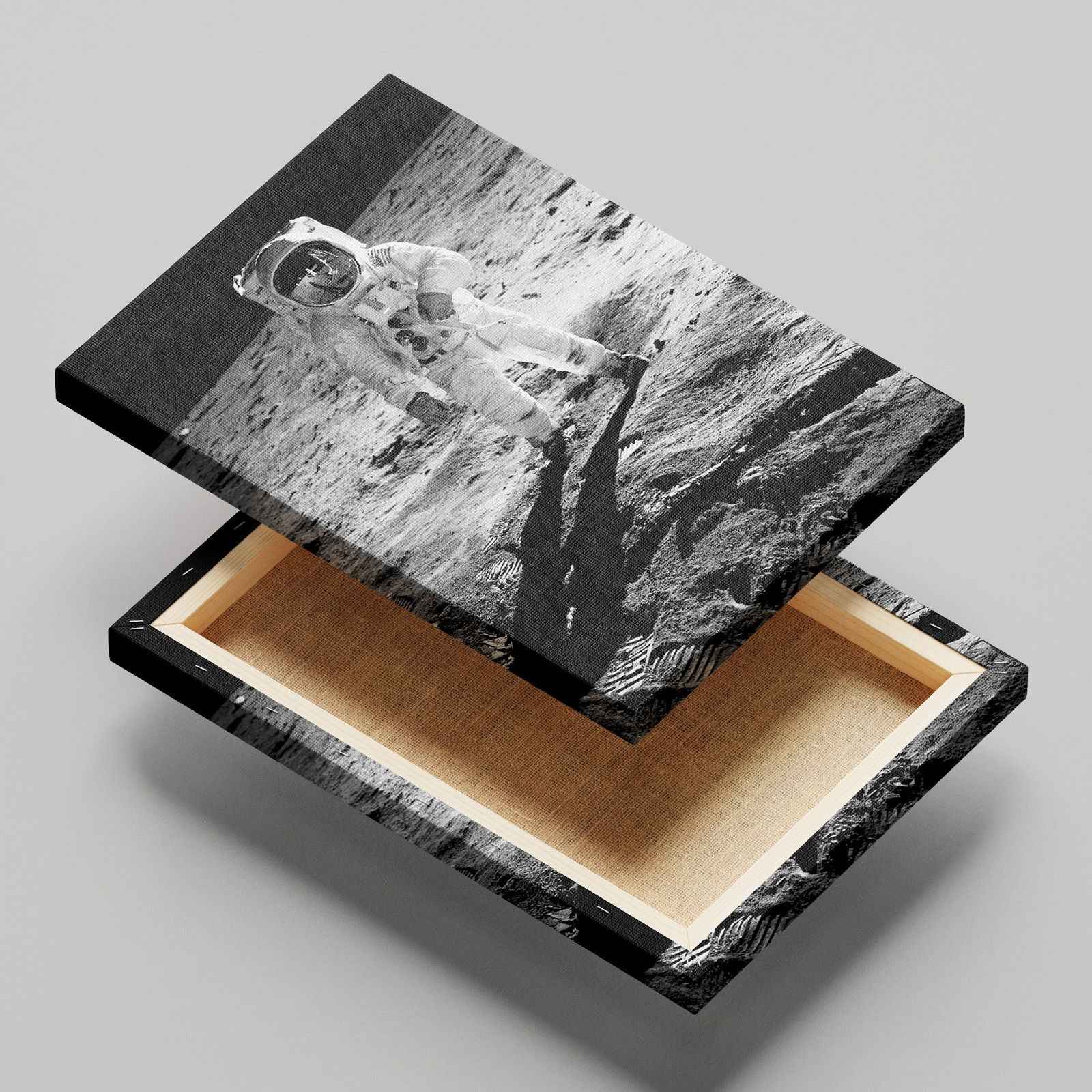 Spaceman on the Moon - Framed Canvas Wall Art Print | House Prints