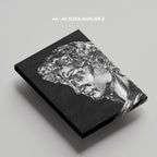 Statue of David Silver Chrome - Framed Canvas Wall Art Print | House Prints