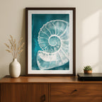 Teal Spiral Coastal Shell From The Beach - Rolled Poster Wall Art Print