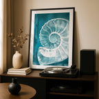 Teal Spiral Coastal Shell From The Beach - Rolled Poster Wall Art Print
