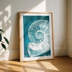 Teal Spiral Coastal Shell From The Beach - Rolled Poster Wall Art Print