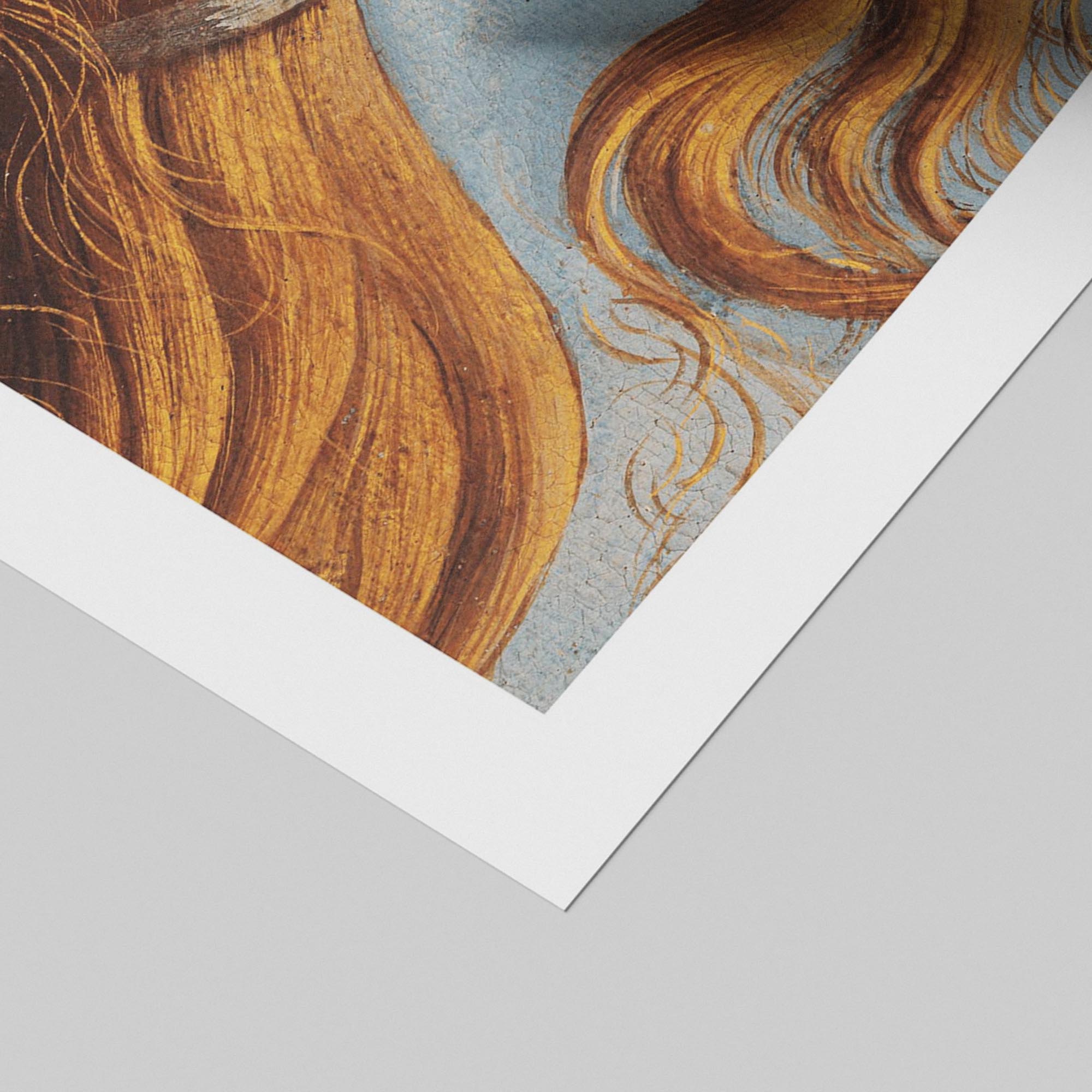 The Birth of Venus Iconic Exhibition - Sandro Botticelli - Rolled Poster Wall Art Print