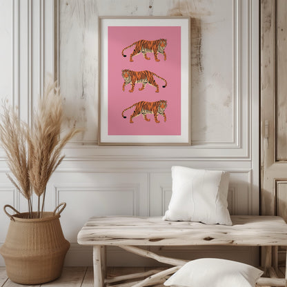 Bold Pink Stride of Tigers - Rolled Poster Wall Art Print