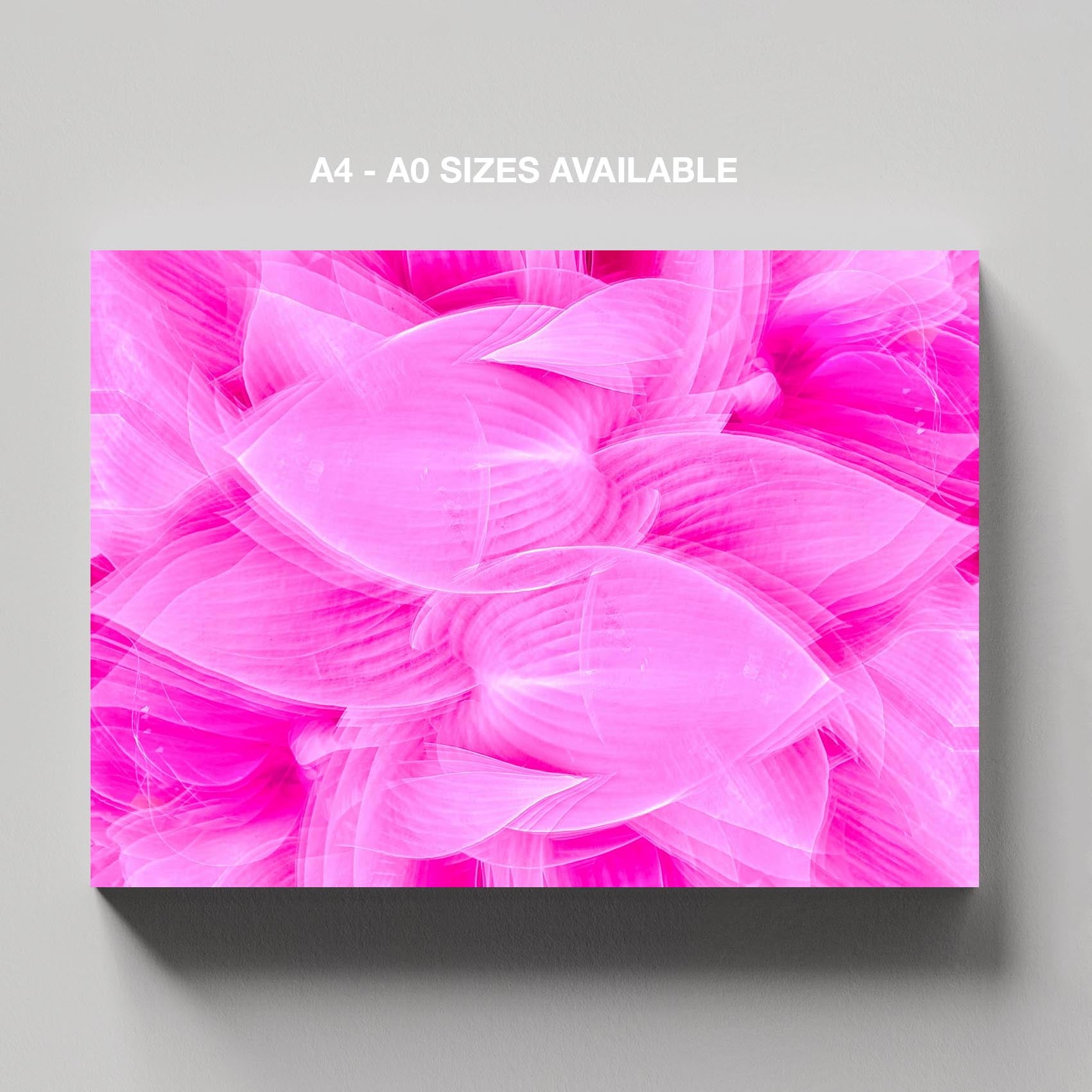 Vibrant Petals in Pink Bloom - Framed Canvas Wall Art Print - House Prints